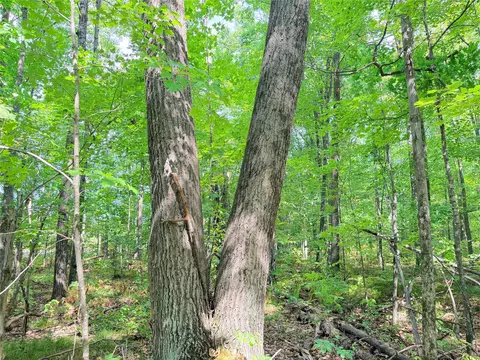 lot4 County Highway X, Glen Flora, WI 54526