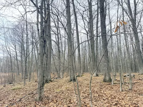 lot4 Hwy X, Glen Flora, WI 54526