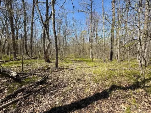 n10439 Tranus Lake Road, Springbrook, WI 54875 photo 8