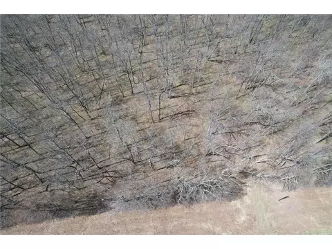 n10439 Tranus Lake Road, Springbrook, WI 54875 photo 19