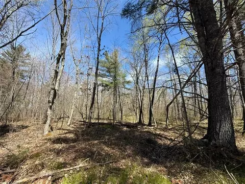 n10439 Tranus Lake Road, Springbrook, WI 54875 photo 15