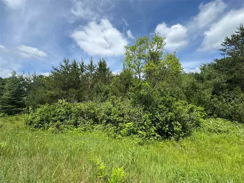 6398 Fred Tripp Road, Springbrook, WI 54875 photo 9