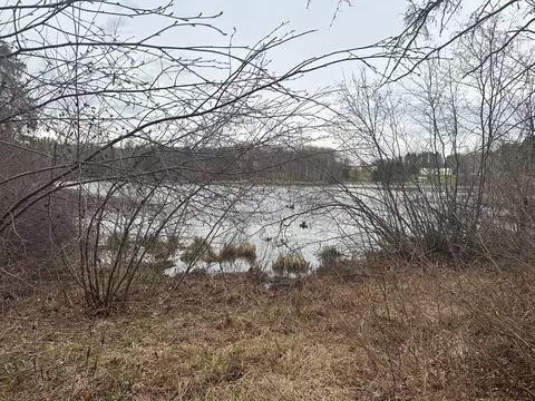 7516 N Wood Dr, Trego, WI 54888