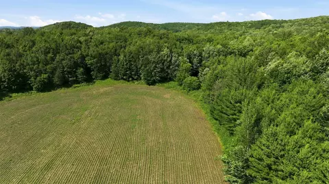 20 Acres 150th Ave, Colfax, WI 54730 photo 16