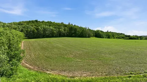 20 Acres 150th Ave, Colfax, WI 54730 photo 23