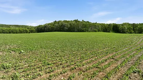 20 Acres 150th Ave, Colfax, WI 54730 photo 24