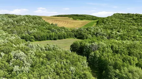 20 Acres 150th Ave, Colfax, WI 54730 photo 20