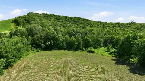 20 Acres 150th Ave, Colfax, WI 54730 photo 17