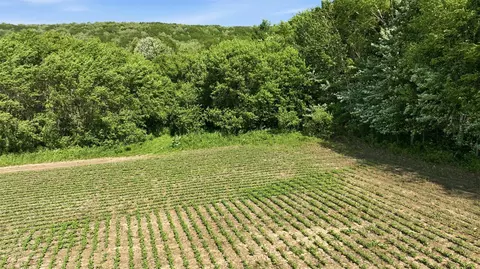 20 Acres 150th Ave, Colfax, WI 54730 photo 21