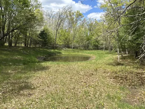 25275 Bruss Rd, Webster, WI 54893
