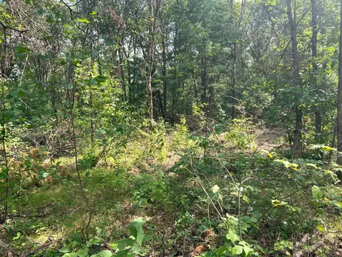 0 5th, Black River Falls, WI 54615