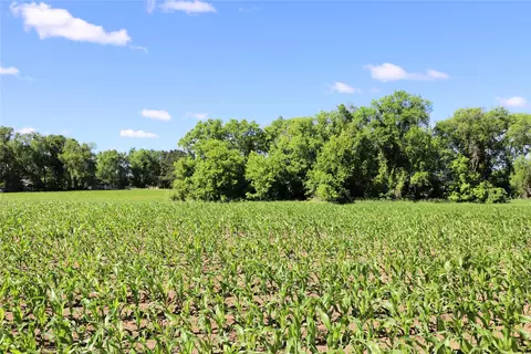 5320 County Road 6, Other, MN 56301 photo 15