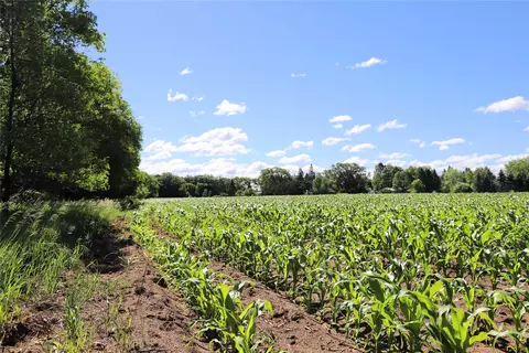 5320 County Road 6, Other, MN 56301 photo 14