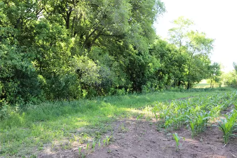 5320 County Road 6, Other, MN 56301 photo 11
