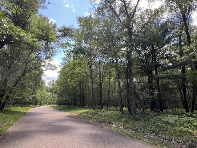lot14 Loon Lake Rd, Danbury, WI 54830