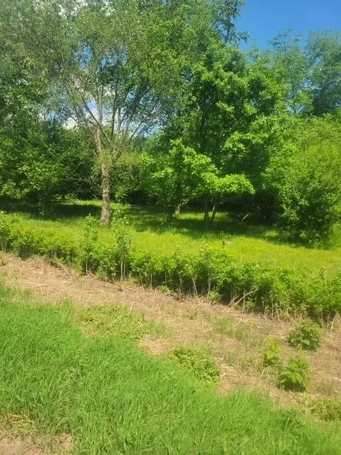 tbd 230th St, Baldwin, WI 54002 photo 8