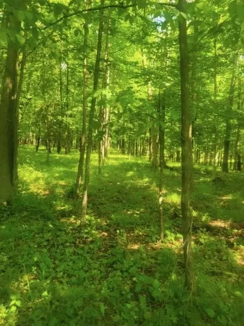 tbd 230th St, Baldwin, WI 54002 photo 16