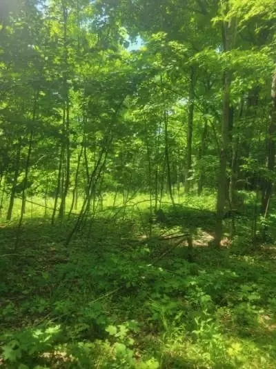 tbd 230th St, Baldwin, WI 54002 photo 11