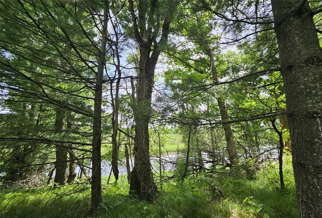 lot2 Gaslyn Rd, Webster, WI 54893