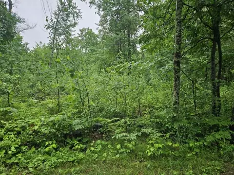 lot1 Hilly Ln, Spooner, WI 54801