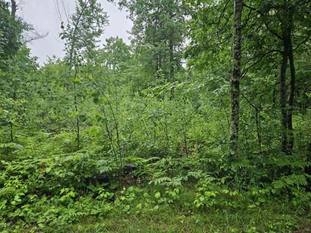 lot1 Hilly Ln, Spooner, WI 54801