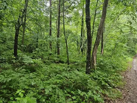 lot2 Hilly Ln, Spooner, WI 54801