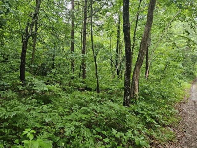 lot2 Hilly Ln, Spooner, WI 54801