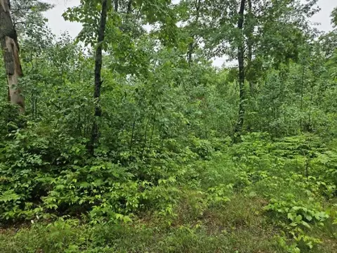 lot3 Hilly Ln, Spooner, WI 54801