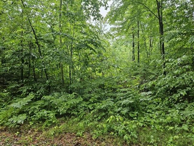 lot1 4 Hilly Ln, Spooner, WI 54801