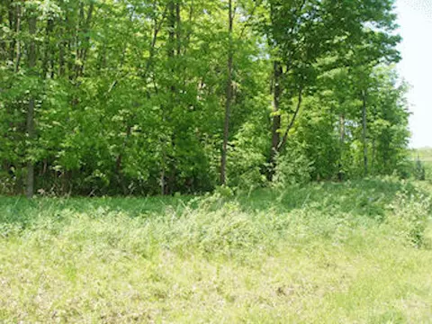 lot12 4th Addition Margaret Ln, Park Falls, WI 54552