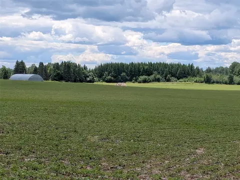 N4180 Wilderness Road, Glen Flora, WI 54526