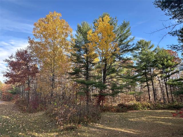 Nn Shore Drive, Springbrook, WI 54875