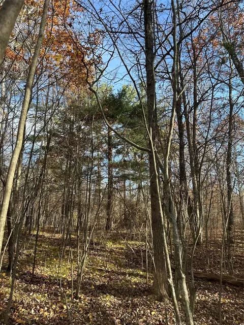 Nn Shore Drive, Springbrook, WI 54875 photo 10