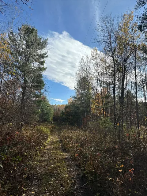 Nn Shore Drive, Springbrook, WI 54875 photo 8