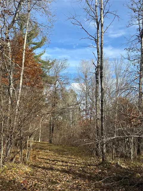 Nn Shore Drive, Springbrook, WI 54875 photo 7