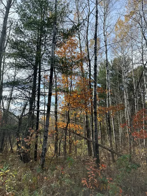Nn Shore Drive, Springbrook, WI 54875 photo 4