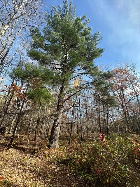 Nn Shore Drive, Springbrook, WI 54875 photo 6