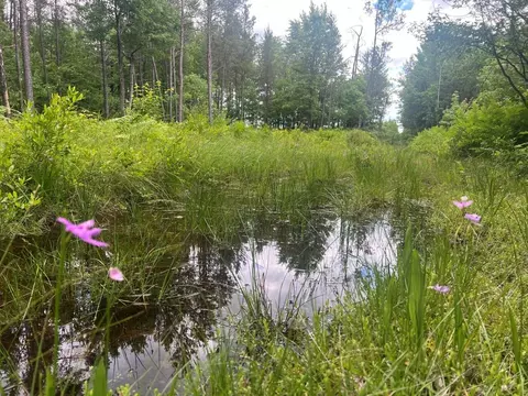 0 Old 54 Hwy, Pittsville, WI 54466