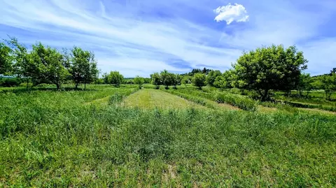 Other - 407 23rd St, Chetek, WI 54728 photo 18 of 18