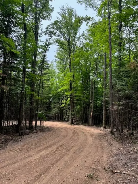 lot5 Uncle Toms Rd, Loretta, WI 54896 photo 3