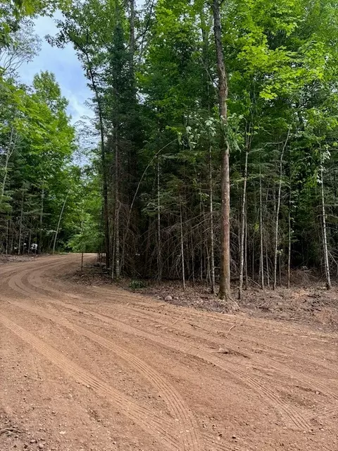 lot5 Uncle Toms Rd, Loretta, WI 54896 photo 7