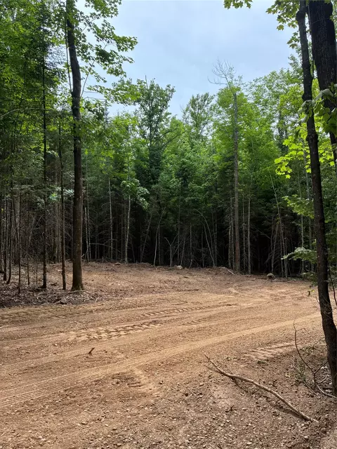 lot5 Uncle Toms Rd, Loretta, WI 54896 photo 5
