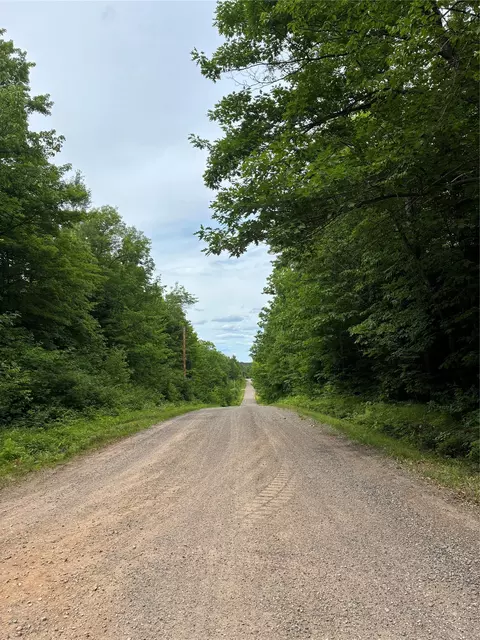 lot5 Uncle Toms Rd, Loretta, WI 54896 photo 9