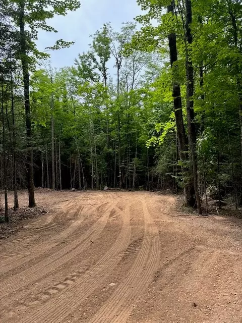 lot5 Uncle Toms Rd, Loretta, WI 54896 photo 4