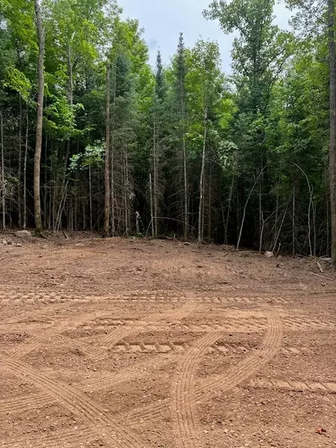 lot5 Uncle Toms Rd, Loretta, WI 54896 photo 6