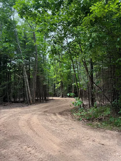lot5 Uncle Toms Rd, Loretta, WI 54896 photo 2