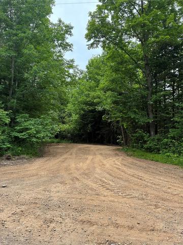lot5 Uncle Toms Rd, Loretta, WI 54896