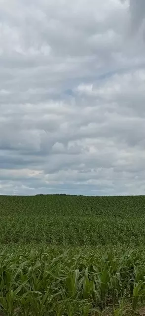 lot S 2 3 Of Csm 3756, Eleva, WI 54738