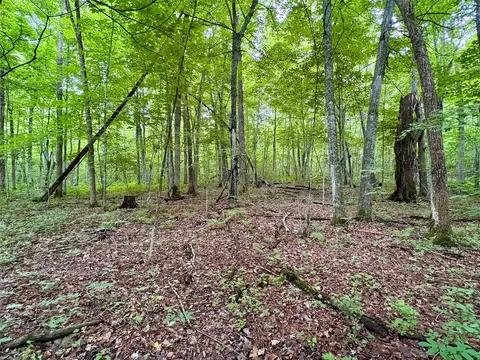0 27th St, Chetek, WI 54822 photo 35