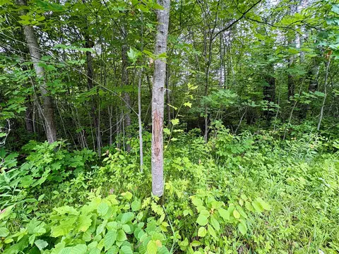 0 27th St, Chetek, WI 54822 photo 29